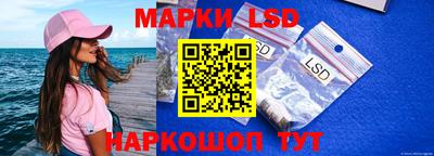 дмт Белореченск