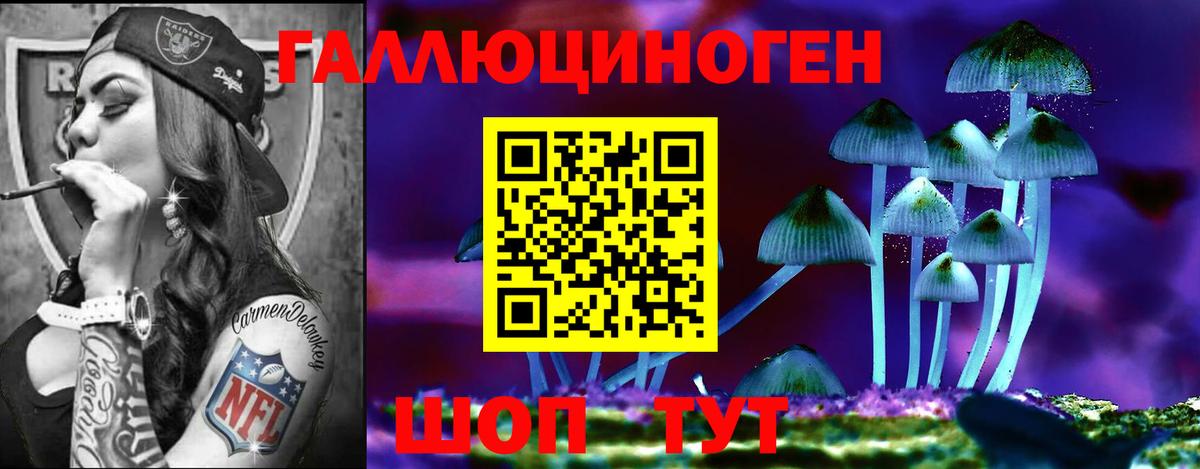 Азнакаево  Псилоцибиновые грибы MAGIC MUSHROOMS  Вход с VPN 