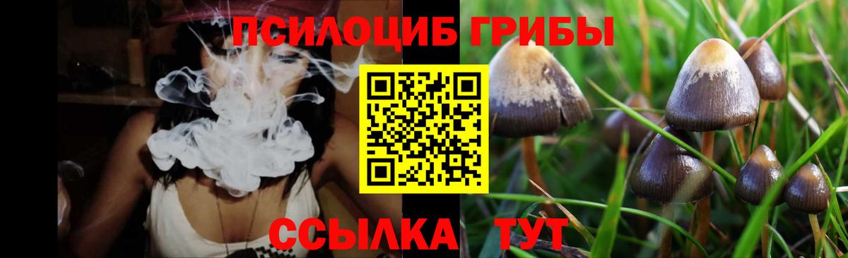 Псилоцибиновые грибы Magic Shrooms Азнакаево